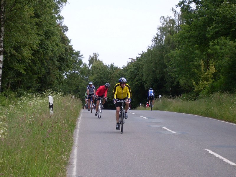 RTF Bad Oldesloe Peter 414